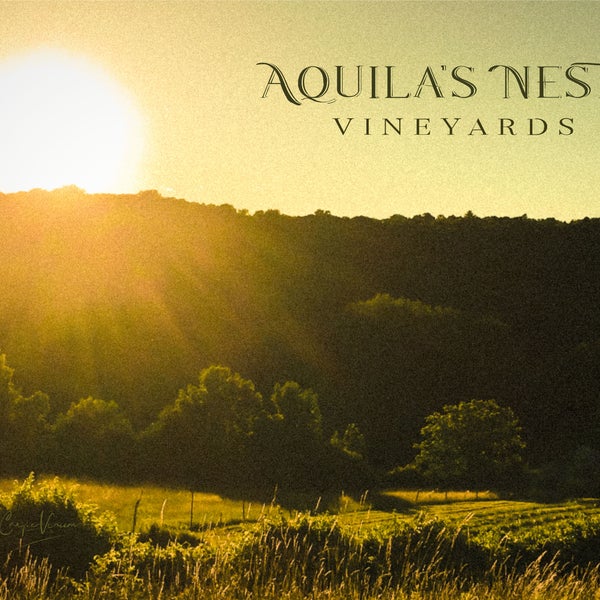 Photo prise au Aquila&#39;s Nest Vineyards par Aquila&#39;s Nest Vineyards le8/24/2020