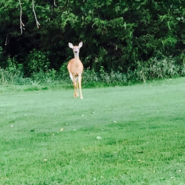 Das Foto wurde bei Moose Ridge Golf Course von Folk L. am 8/8/2015 aufgenommen