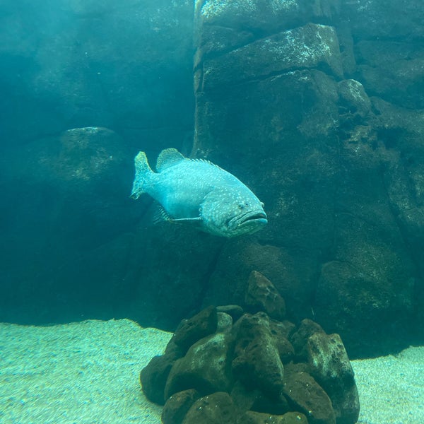 Photo taken at Waikiki Aquarium by Amin on 4/9/2022