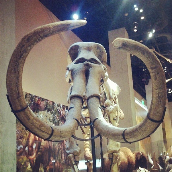 Photo taken at Perot Museum of Nature and Science by Skylar B. on 5/11/2013