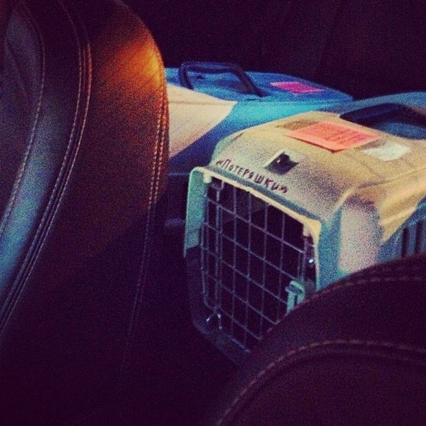 Альберт суфианов тюмень семья. Призвание тюмень. Медицинская премия. Премия призвание 2021. Альберт суфианов тюмень семья.