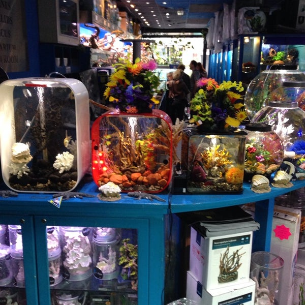 940 Aquarium Design Centre Glasgow Gratis