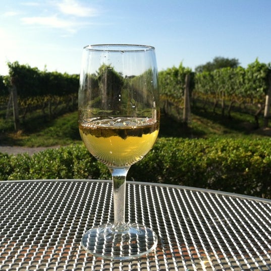 Pellegrini Vineyards Vineyard in Cutchogue
