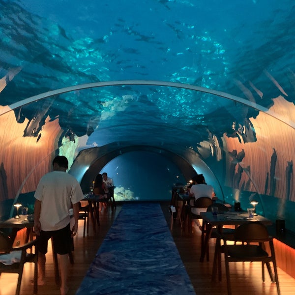 Ресторан 5 8 Undersea Restaurant