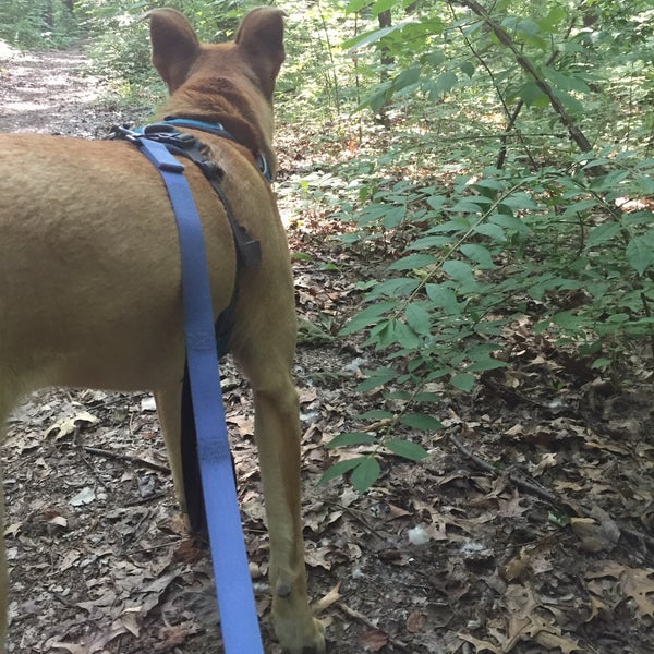 Ford Heritage Park Baseball Field in Ypsilanti