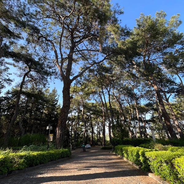 5/12/2022 tarihinde Eren Erdemziyaretçi tarafından Anadolu Park'de çekilen fotoğraf