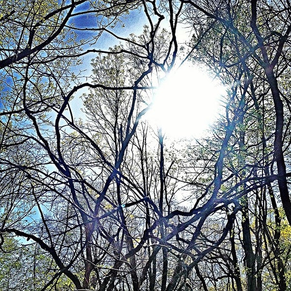 Allens Creek State Recreation Area E Allens Creek Rd