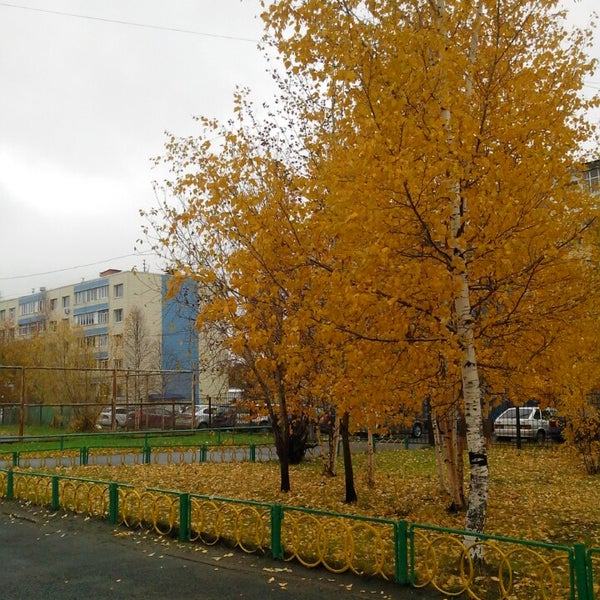 Гимназия 2 новосибирск. Гимназия 2 новосибирск