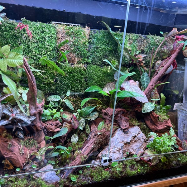 パウパウアクアガーデン Pet Store In 銀座