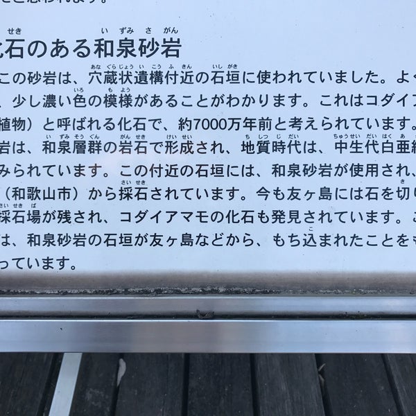 化石のある和泉砂岩 和歌山市 和歌山県