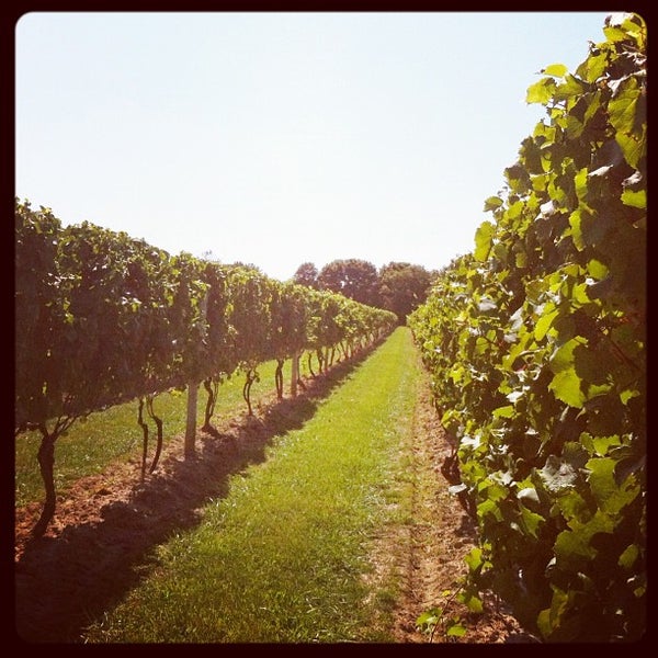 Photo taken at Peconic Bay Winery by Ron G. on 9/22/2012