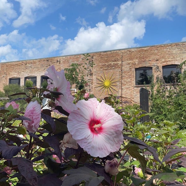 Blumen Gardens 403 Edward St