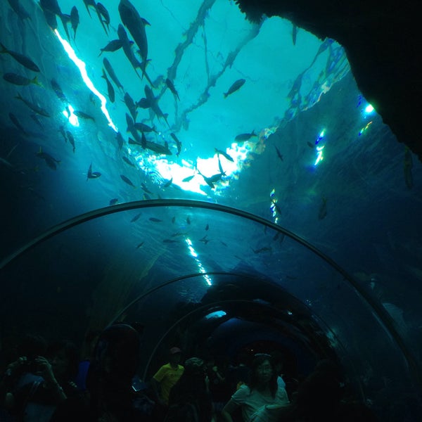 Das Foto wurde bei Underwater World And Dolphin Lagoon von A. ZYM▲H am 6/6/2015 aufgenommen