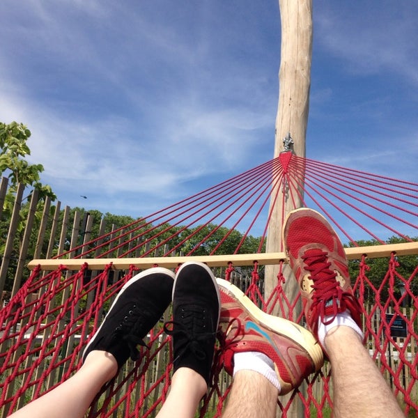 Governors Island Hammock Grove Governors Island 5 tips from 720