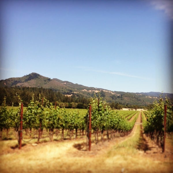 Foto tomada en St. Francis Winery &amp; Vineyards  por Erica G. el 6/21/2013