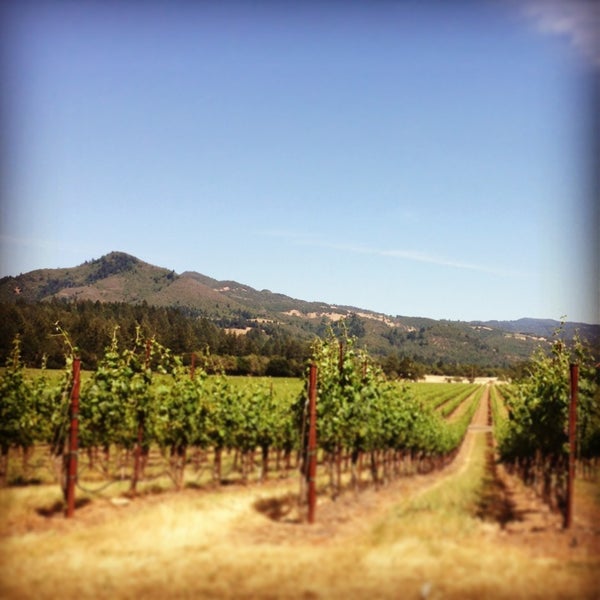 Photo prise au St. Francis Winery &amp; Vineyards par Erica G. le6/21/2013