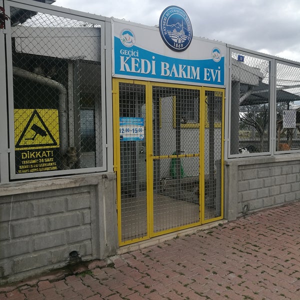 bestepeler kedi bakim evi