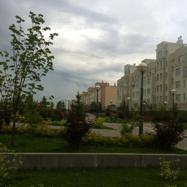 Дистом весенний пр 8 фото