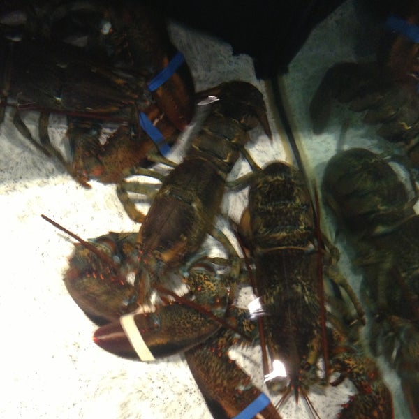 4/22/2013에 Fernando M.님이 Red Lobster에서 찍은 사진