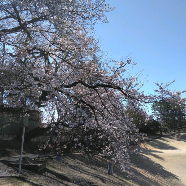 Photos At 川崎国際生田緑地ゴルフ場 多摩区 4 Tips From 243 Visitors