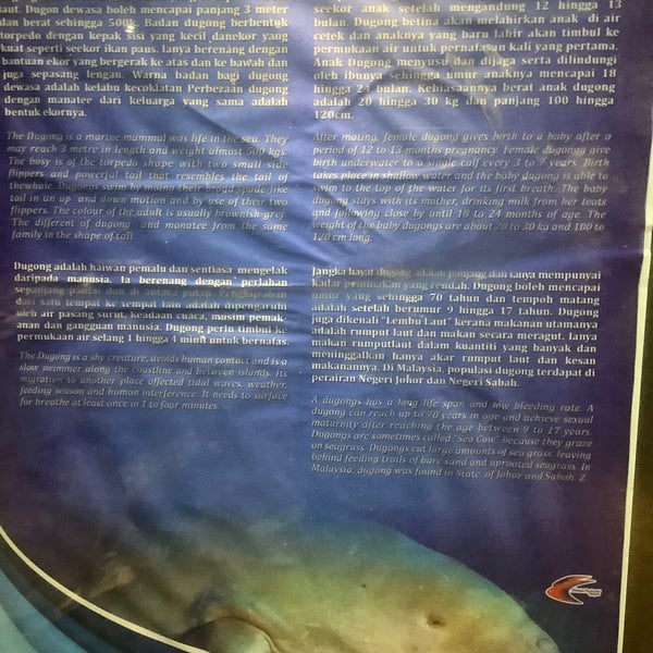 Photos At Pusat Penerangan Konservasi Penyu 17 Tips From 1715 Visitors