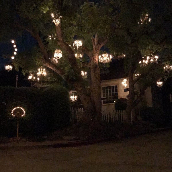 Chandelier Tree Tree in Silver Lake