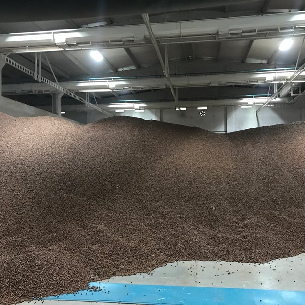 Ordu Yu Taniyalim Findik Ve Findik Kirma Fabrikalari