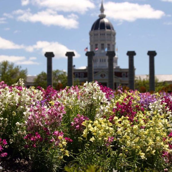 Clydesdale Hall 2 tips from 115 visitors