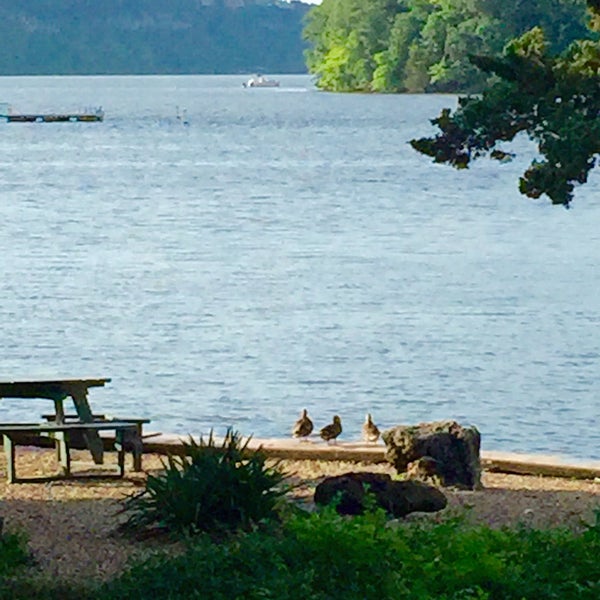 7/17/2015 tarihinde Michelle M.ziyaretçi tarafından Margaritaville Lake Resort Lake of the Ozarks'de çekilen fotoğraf