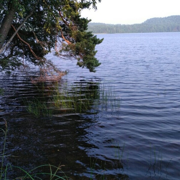 Гавнозеро. Пряжинское озеро. Пряжинское озеро фото. Хлебозеро.