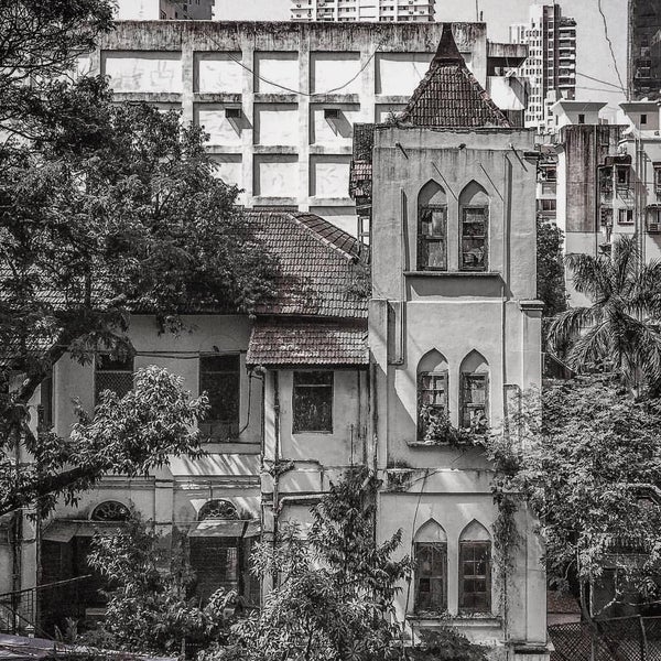 Kemps corner Tardeo 8 tips