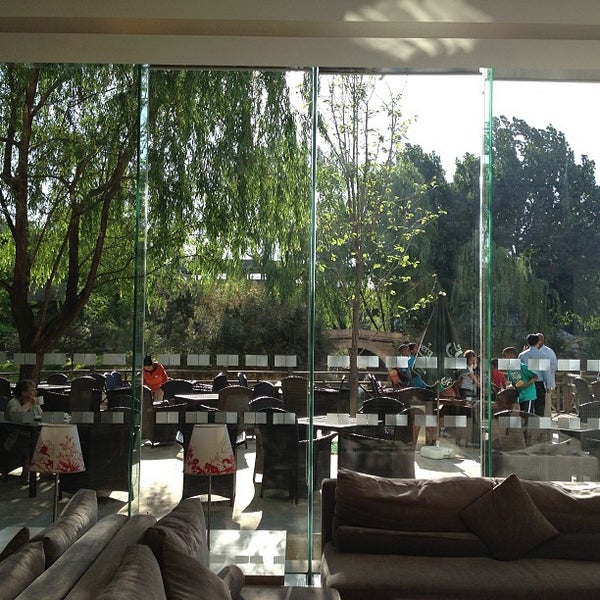 Download Ziate For Free Ziate