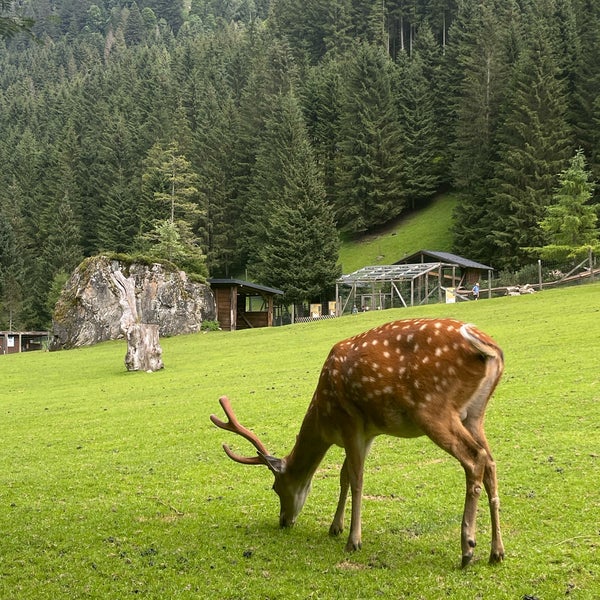 Photo taken at Wild- &amp; Erlebnispark Ferleiten by brho ღ. on 7/17/2023