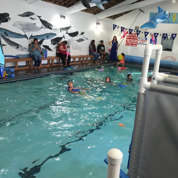 La Petite Baleen Swim Schools Swim School