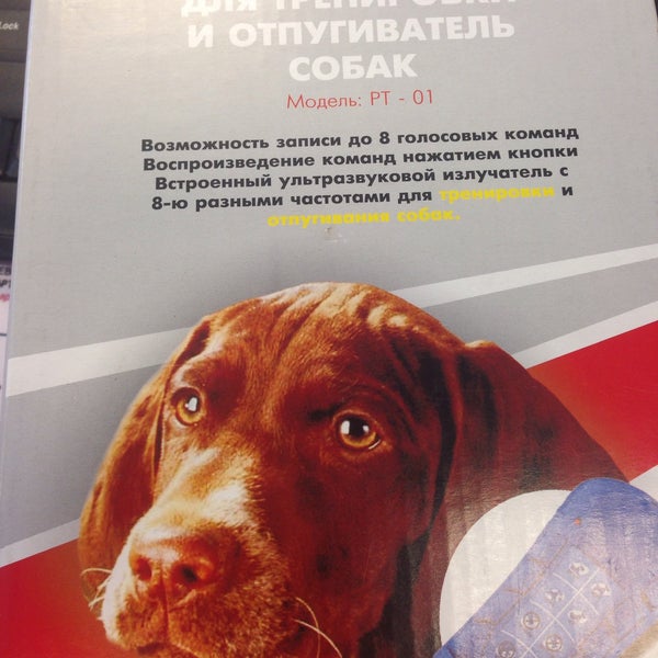 Game stop in отзывы. Башмак натяжителя змз-406,405,409 комплект евро-2 русмаш. Магазин газ в челябинске. Комплект грм патриот 409. Бон трейд.