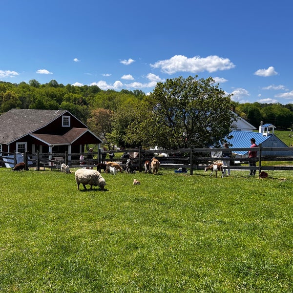 Baily's Dairy Farm West Chester, PA