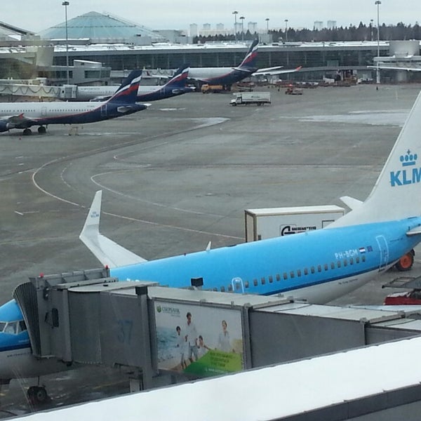 Рейс из амстердама в москву. Амстердам москва на карте. Рейс из амстердама в москву. Москва амстердам маршрут на самолете. Билет москва амстердам.