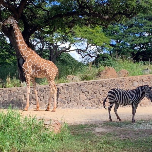 Foto tirada no(a) Honolulu Zoo por Taylor-Jannae L. em 1/7/2022