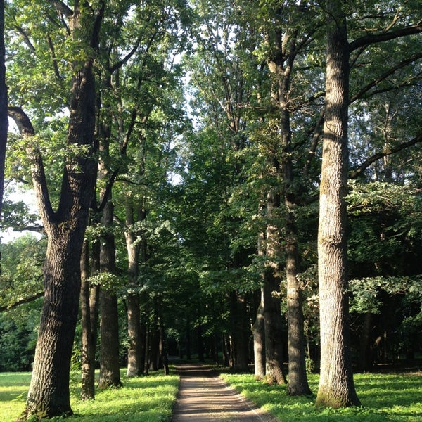 Forest g. Шварцвальд тропа. Forest g. Природа татарстана. Forest g.