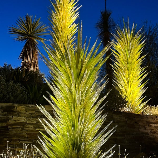 Das Foto wurde bei Desert Botanical Garden von Jennifer B. am 5/10/2023 aufgenommen