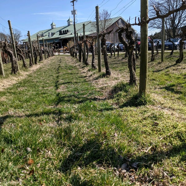 Photo taken at Cape May Winery &amp; Vineyard by Jane M. on 3/21/2021