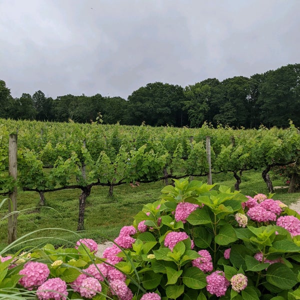 Photo taken at Cape May Winery &amp; Vineyard by Jane M. on 6/11/2021