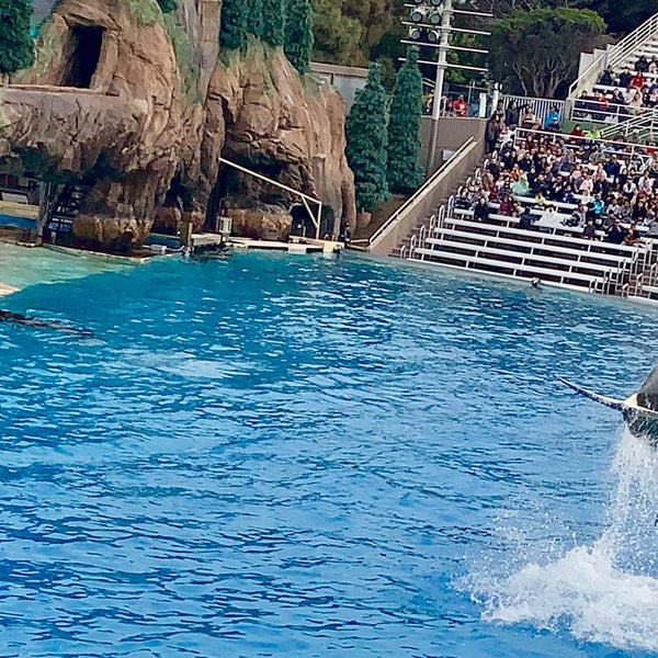 Photo taken at SeaWorld San Diego by Holly J. O. on 12/30/2019