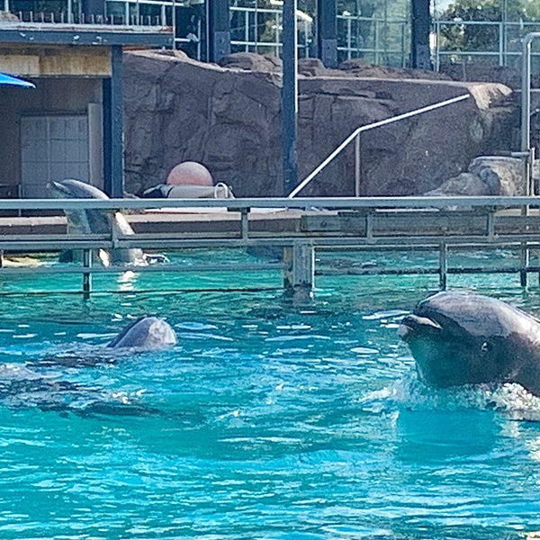 Photo taken at SeaWorld San Diego by Holly J. O. on 12/30/2019