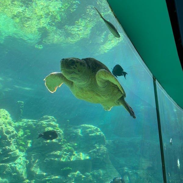 Photo taken at SeaWorld Orlando by G 🇺🇸 on 4/12/2024
