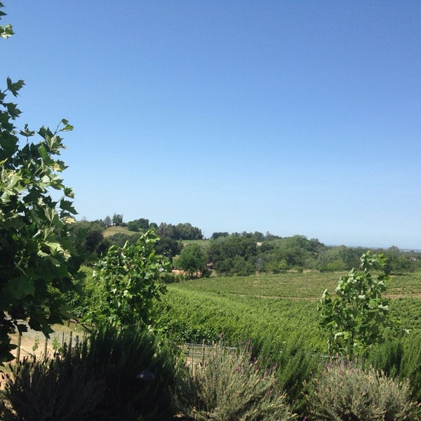 5/3/2014 tarihinde Ann Z.ziyaretçi tarafından Wise Villa Winery'de çekilen fotoğraf