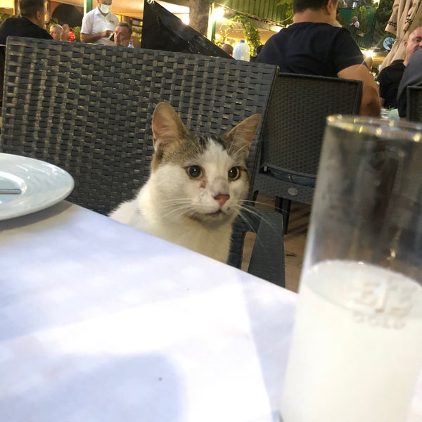 Foto diambil di Şirnaz Ocakbaşı Restaurant oleh T. B. . pada 7/7/2021