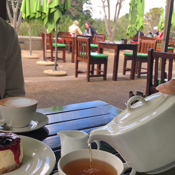 The Kirstenbosch Tea Room Table Mountain Kirstenbosch Gardens