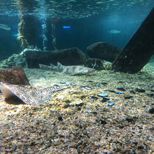 Photo taken at SEA LIFE München by Christian R. on 3/23/2018