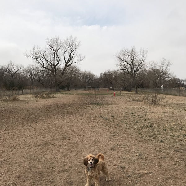 Waggin tails bark park sale